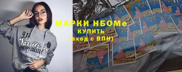 хмурый Бородино