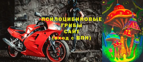 хмурый Бородино