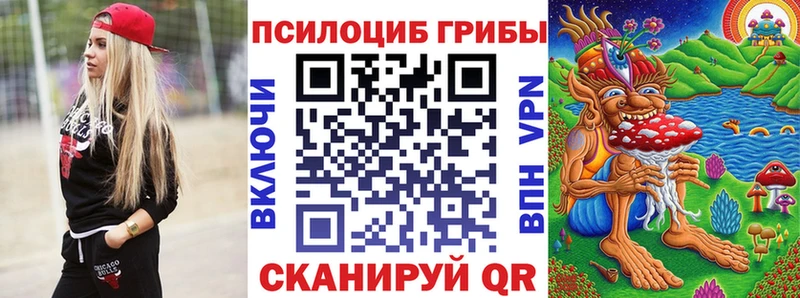 хочу   Торжок  Псилоцибиновые грибы прущие грибы 