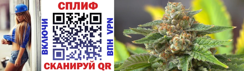 где купить наркотик  Торжок  Бошки марихуана Bruce Banner 